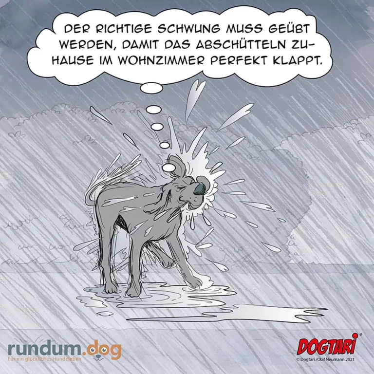 Nasser Hund schüttelt sich kräftig, Wasser fliegt in alle Richtungen, Gedankenblase mit Text über korrektes Schütteln