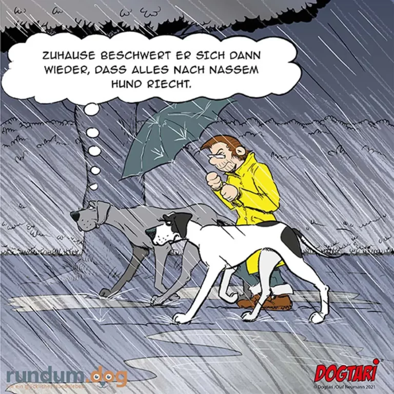 Mann im gelben Regenmantel mit Schirm im strömenden Regen, zwei Hunde an der Leine beschnuppern sich, einer trägt gelbe Hundekleidung