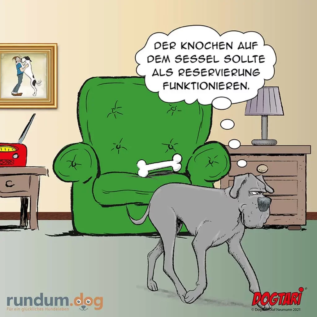 Dogtari 321