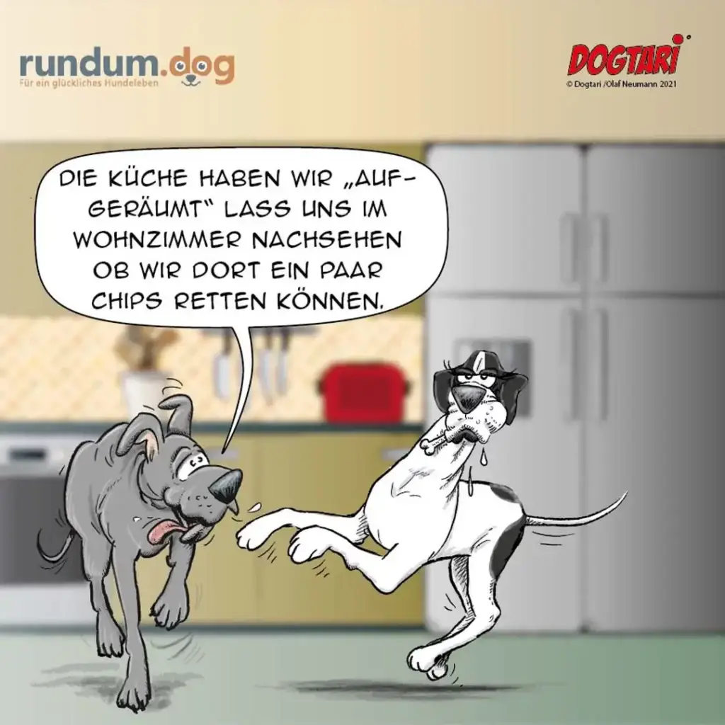 Zwei Hunde in der Küche: weisser Hund hält einen Chip triumphierend hoch, grauer Hund schaut hungrig zu