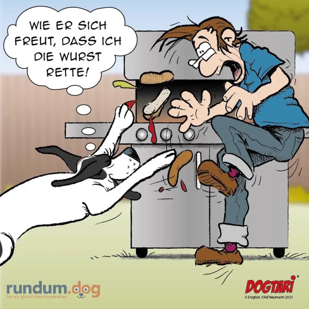 Hund springt an Grill hoch und stibitzt Wurst, während Mann geschockt zusieht und denkt: Wie er sich freut, dass ich die Wurst rette!