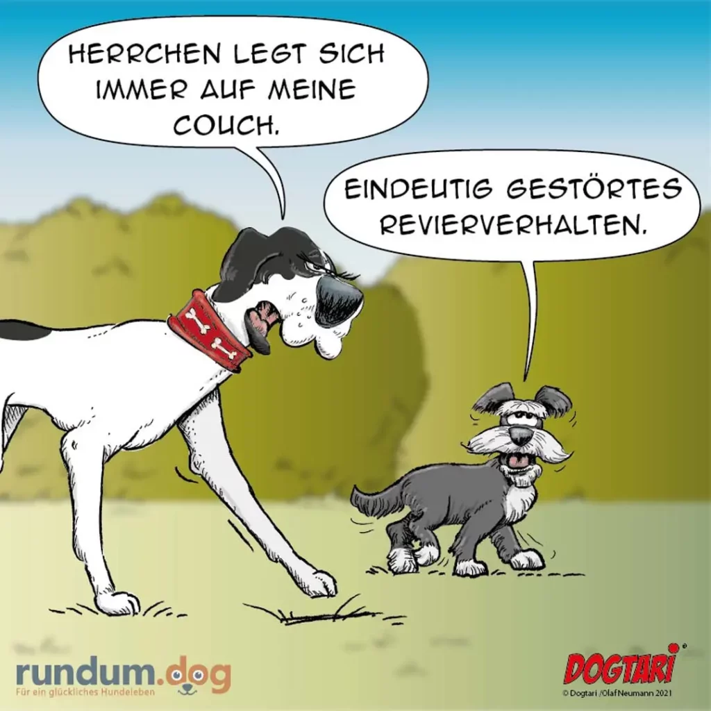 Dogtari 325