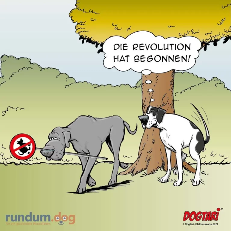 Grauer Hund markiert Baum mit Verbotsschild, weisser Hund am selben Baum sagt «Die Revolution hat begonnen!»