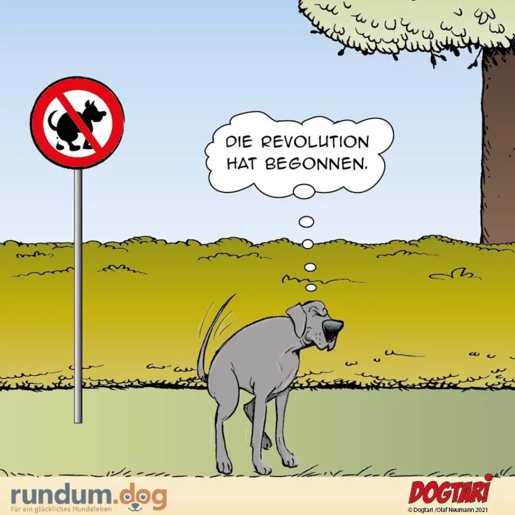 Hund steht vor Verbotsschild mit Hundekot-Symbol und denkt: «Die Revolution hat begonnen»