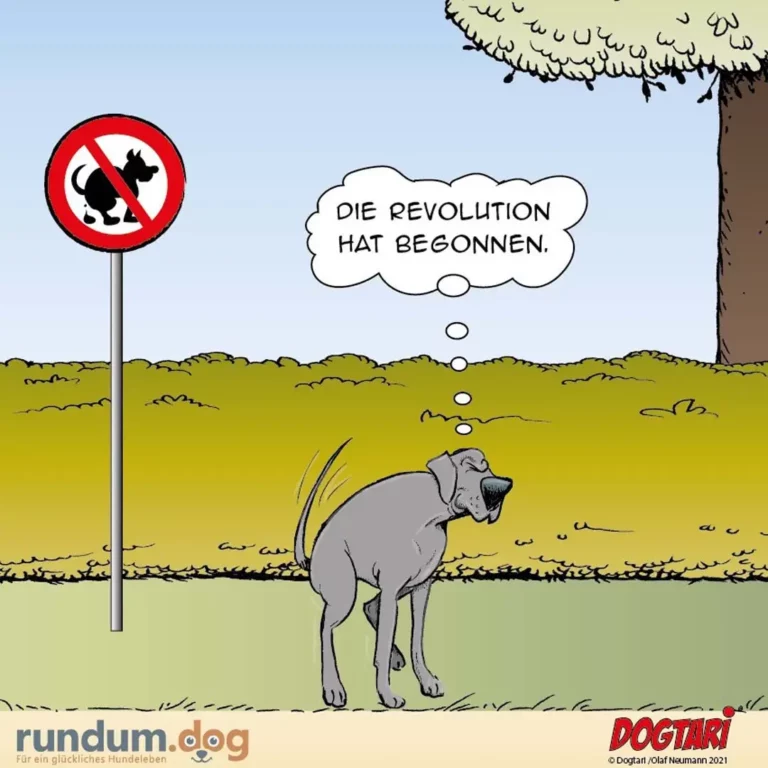 Hund steht vor Verbotsschild mit Hundekot-Symbol und denkt: «Die Revolution hat begonnen»