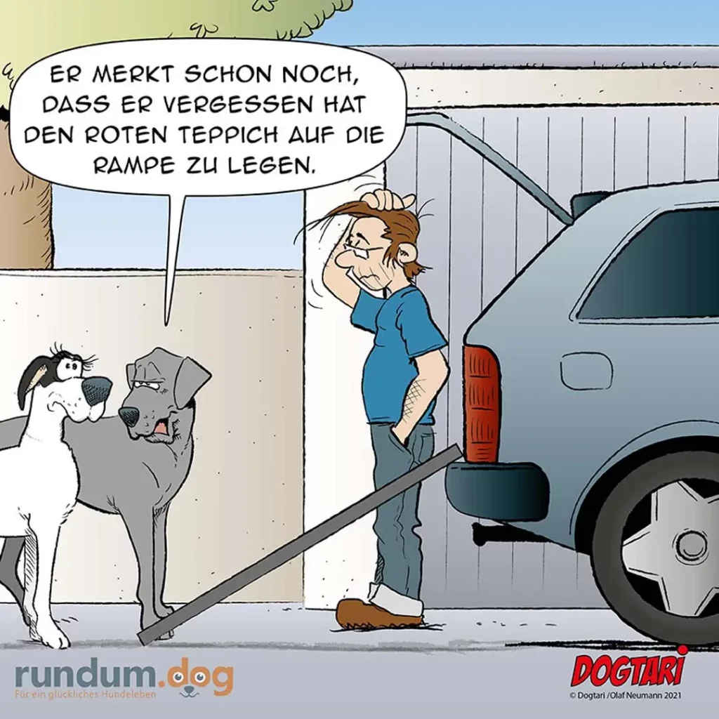 Hund sitzt in Garage und schaut Halter an, der auf einer Rampe steht. Halter denkt: «Er merkt schon noch, dass er vergessen hat den roten Teppich auf die Rampe zu legen.»