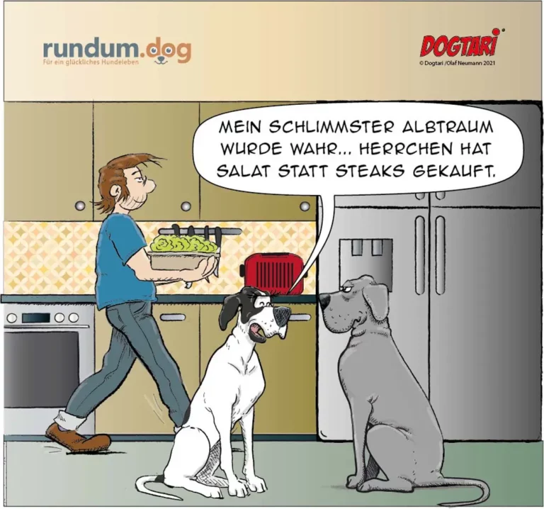 Frau in der Küche hält Salatschüssel, zwei Hunde schauen hoffnungsvoll zu – einer trägt einen roten Hut