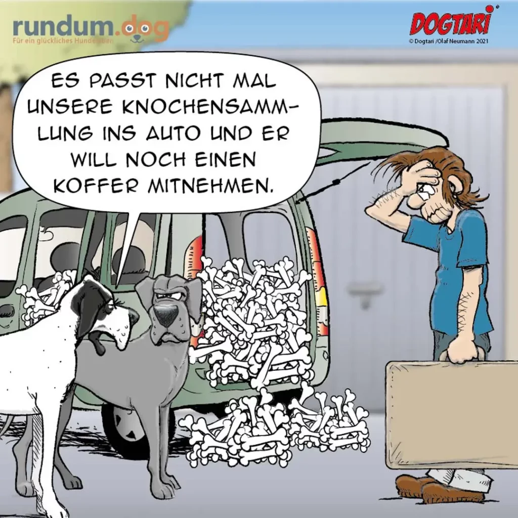 Zwei Hunde im Auto, vollgepackt mit Knochen; einer sagt zur Halter: «Es passt nicht mal unsere Knochensammlung ins Auto und er will noch einen Koffer mitnehmen»