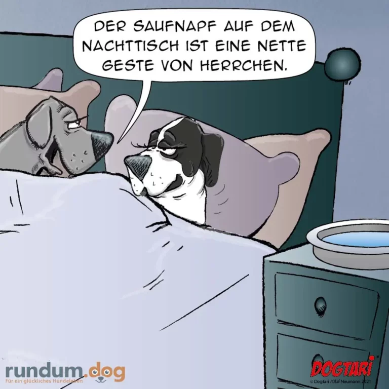 Zwei Hunde liegen im Bett, einer spricht zum anderen: «Der Saufnapf auf dem Nachttisch ist eine nette Geste von Herrchen.»