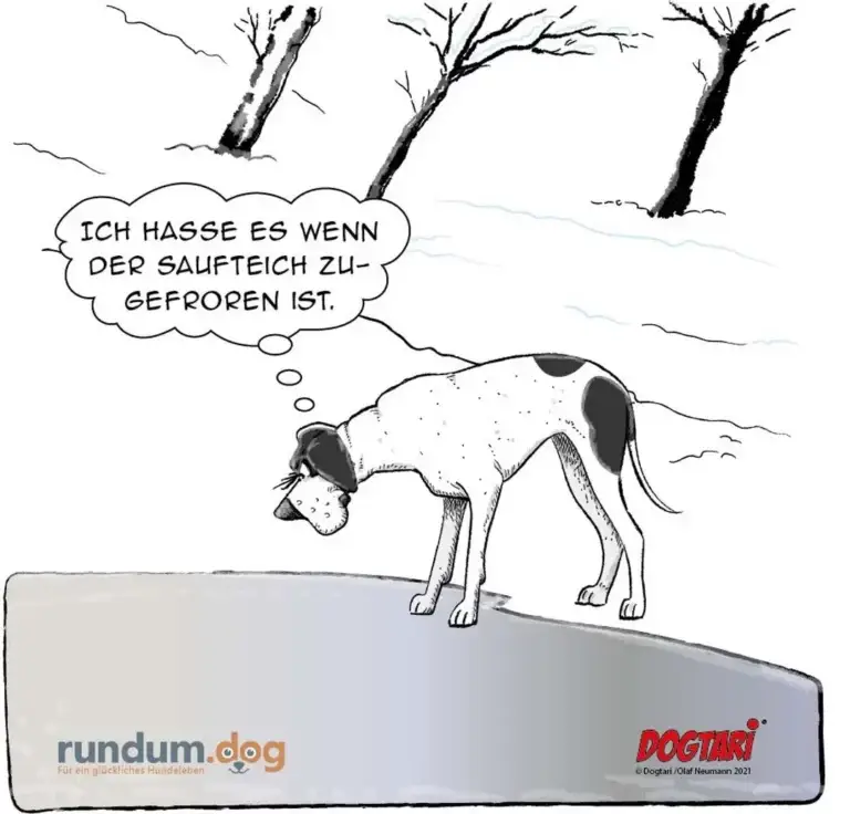 Hund steht auf schneebedecktem Boden in Winterlandschaft, schaut nach unten. Sprechblase: «Ich hasse es wenn der Saufteich zugefroren ist.»