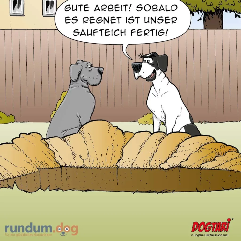 Zwei Hunde in einem Garten: grauer Hund sitzt, weisser Hund steht daneben und sagt «Gute Arbeit! Sobald es regnet ist unser Saufteich fertig!»