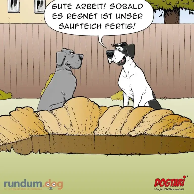 Zwei Hunde in einem Garten: grauer Hund sitzt, weisser Hund steht daneben und sagt «Gute Arbeit! Sobald es regnet ist unser Saufteich fertig!»