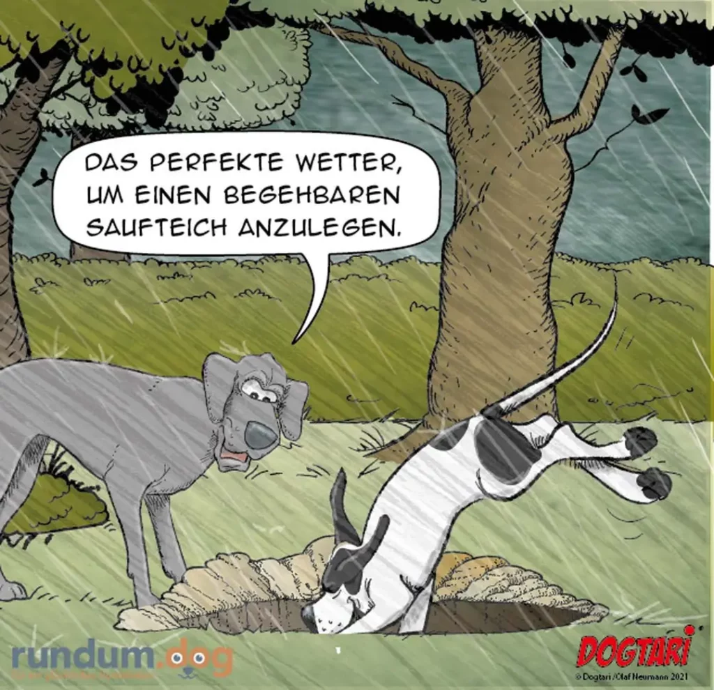 Hund wälzt sich in Schlammloch, während zweiter Hund trocken daneben steht und sagt: Das perfekte Wetter, um einen begehbaren Saufteich anzulegen.