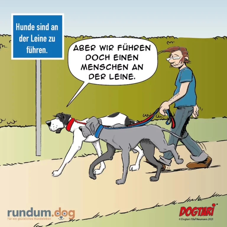 Halter führt zwei Hunde an der Leine, die in entgegengesetzte Richtungen ziehen. Schild sagt: Hunde sind an der Leine zu führen