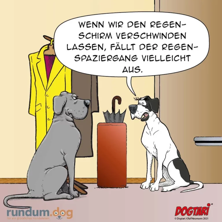 Hund in gelbem Regenmantel sitzt neben Regenschirm und erklärt anderem Hund eine wissenschaftliche Theorie
