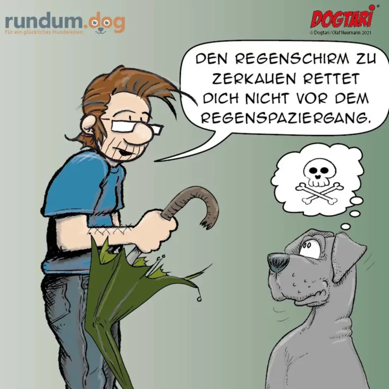 Halter hält Regenschirm über Hund und sagt: Den Regenschirm zu zerkauen rettet dich nicht vor dem Regenspaziergang. Hund denkt sich Totenkopf aus.