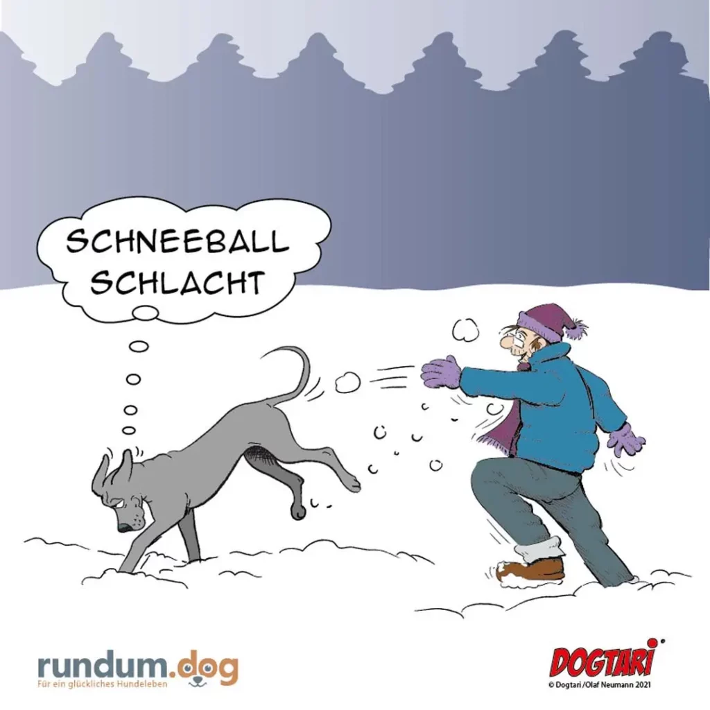 Hund mit eingezogenem Schwanz weicht vor im Schnee spielendem Halter aus, Gedankenblase «Schneeball Schlacht»