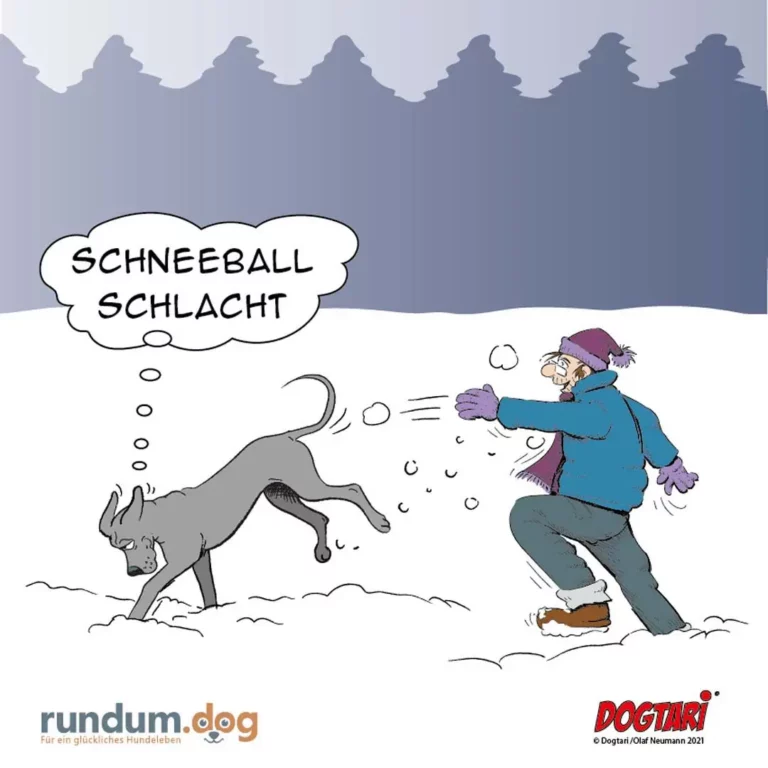 Hund mit eingezogenem Schwanz weicht vor im Schnee spielendem Halter aus, Gedankenblase «Schneeball Schlacht»