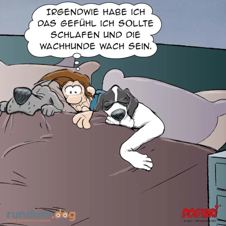 Mann liegt im Bett und denkt: «Irgendwie habe ich das Gefühl ich sollte schlafen und die Wachhunde wach sein.» Neben ihm schläft ein Hund.