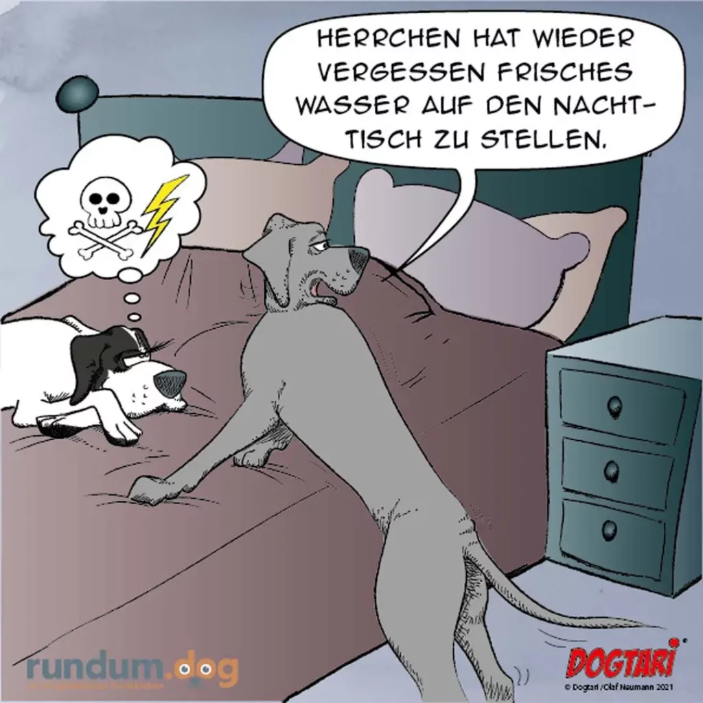 Grosser Hund liegt im Bett, kleiner schwarzweisser Hund sitzt daneben. Gedankenblase des grossen Hundes mit Totenkopf-Symbol und Text über vergessenes Wasser.
