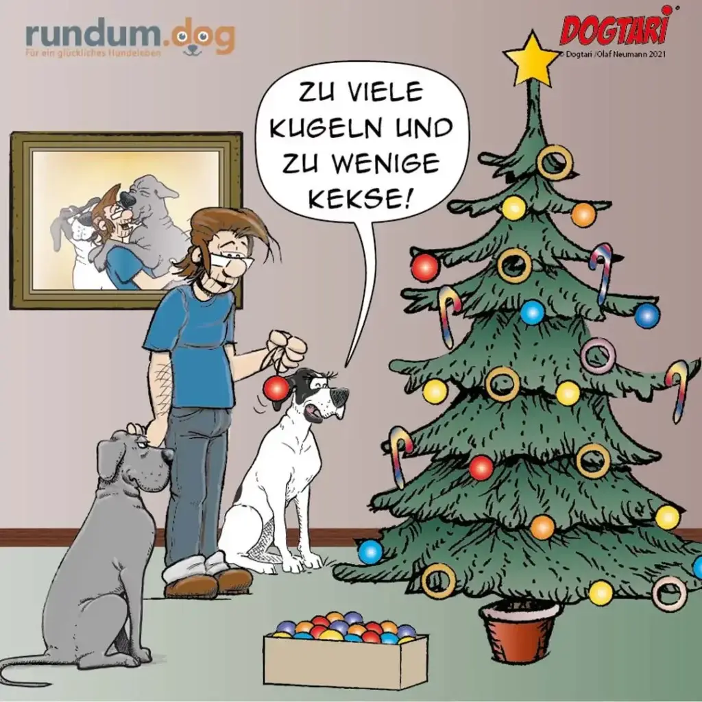 Frau mit drei Hunden vor Weihnachtsbaum, hält rote Weihnachtskugel in der Hand, Hunde schauen sehnsüchtig auf die Baumkugeln