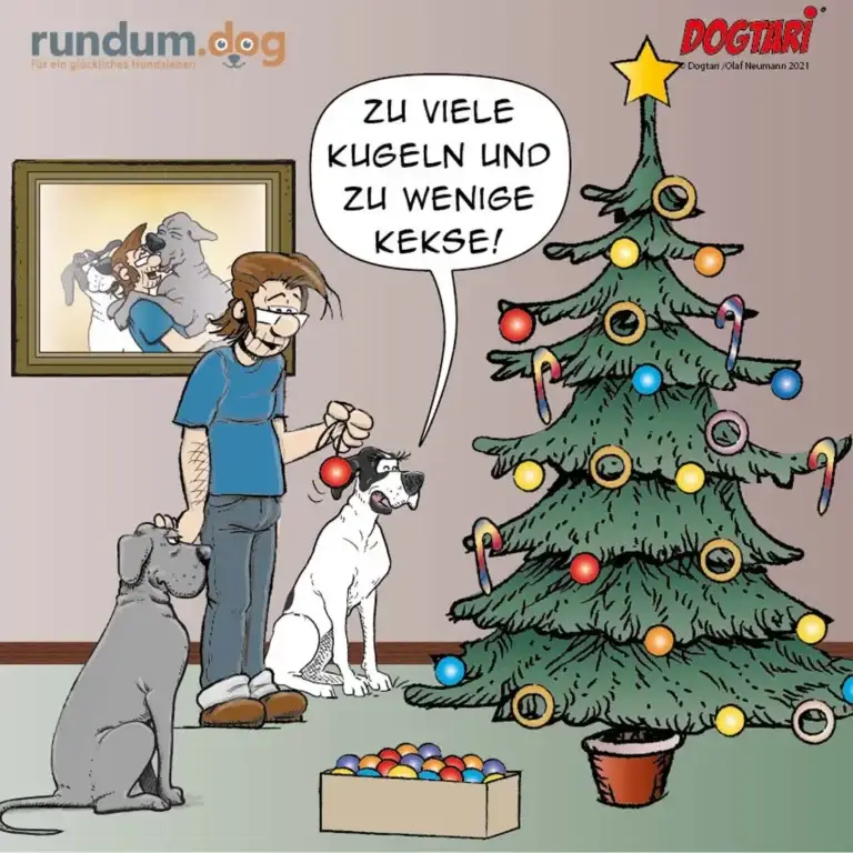 Frau mit drei Hunden vor Weihnachtsbaum, hält rote Weihnachtskugel in der Hand, Hunde schauen sehnsüchtig auf die Baumkugeln