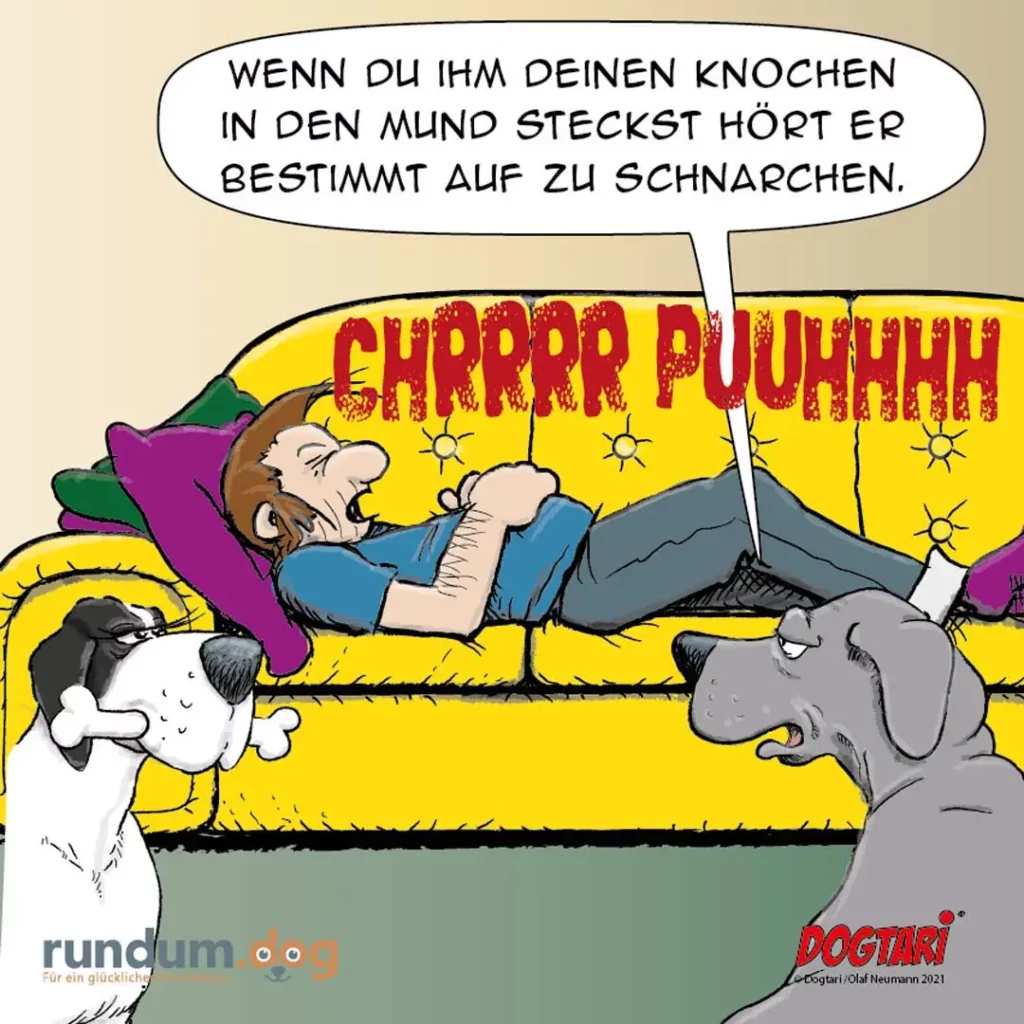 Mann sitzt auf gelbem Sofa mit Knochen im Mund und schnarchend Laut von sich gebend, zwei Hunde beobachten ihn verwundert