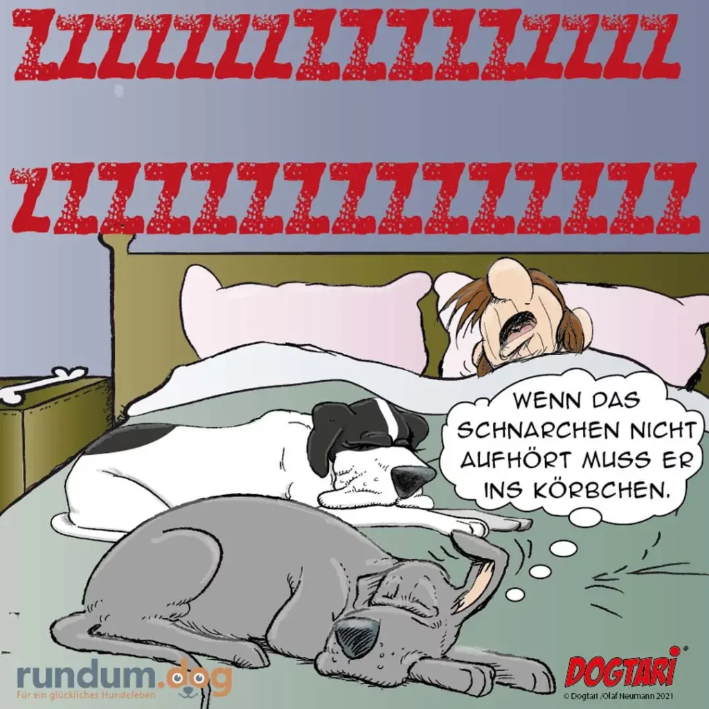 Dogtari 363