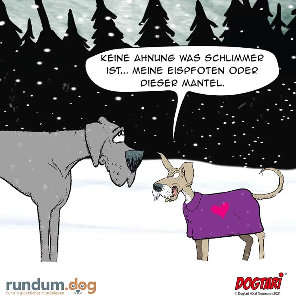 Grosser Hund im Schnee sagt zu kleinem Hund im lila Mantel: Keine Ahnung was schlimmer ist, meine Eispfoten oder dieser Mantel