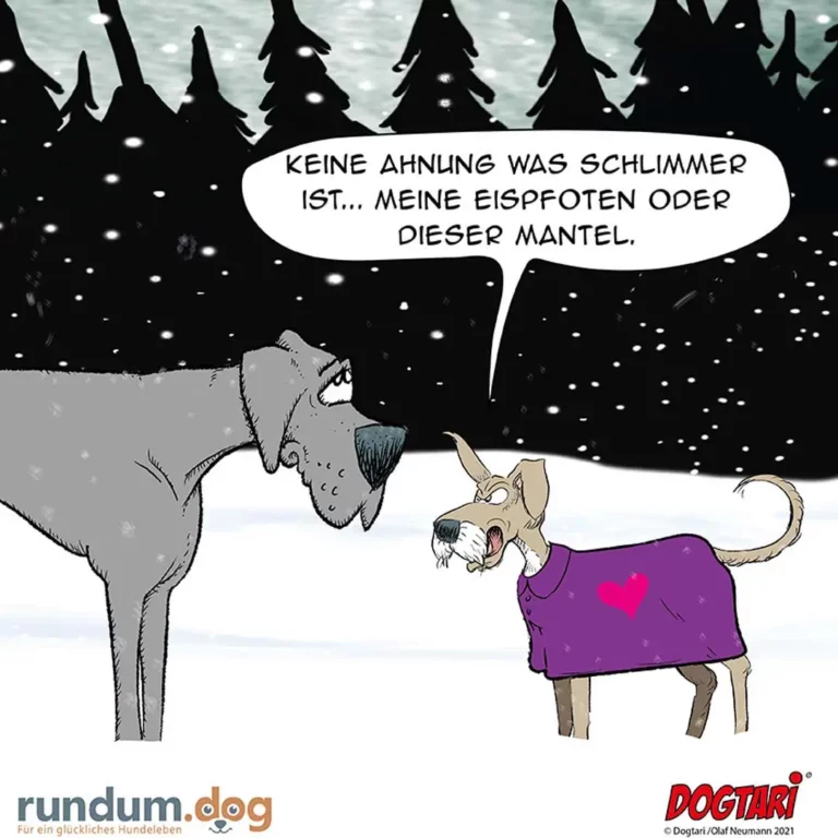 Grosser Hund im Schnee sagt zu kleinem Hund im lila Mantel: Keine Ahnung was schlimmer ist, meine Eispfoten oder dieser Mantel