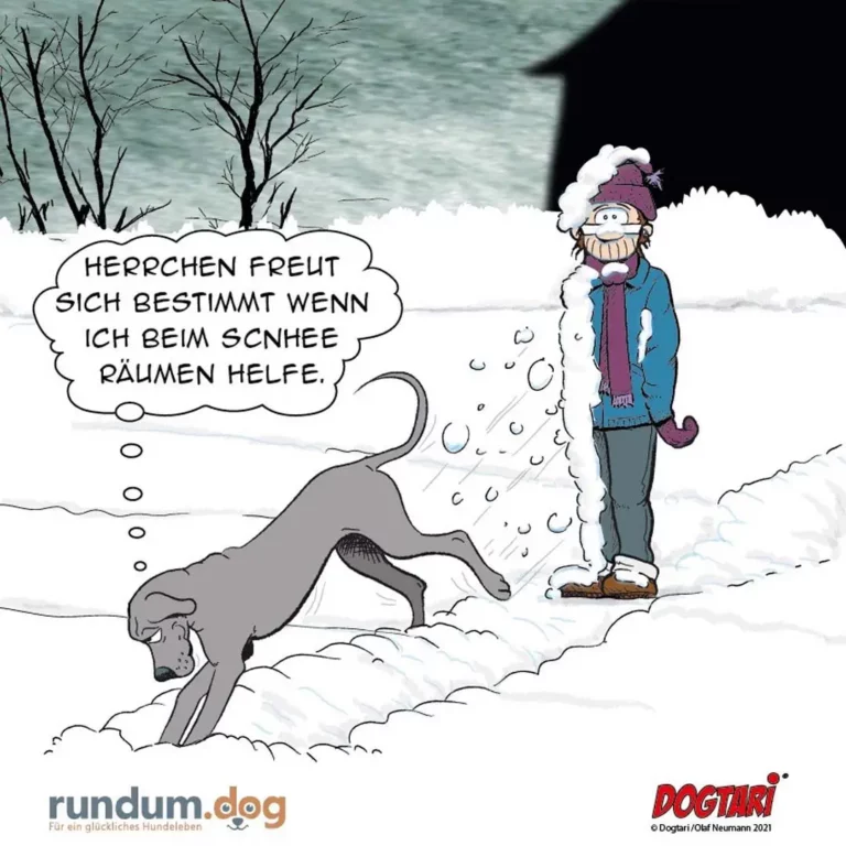 Hund in verschneiter Landschaft räumt Schnee weg, Halter im Hintergrund sagt: Herrchen freut sich bestimmt wenn ich beim Schnee räumen helfe.