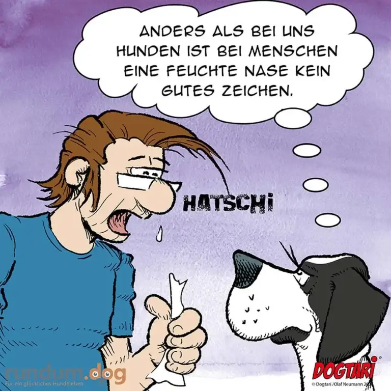 Mann mit Brille niesend, daneben schwarz-weisser Hund mit feuchter Nase, Gedankenblase mit Text