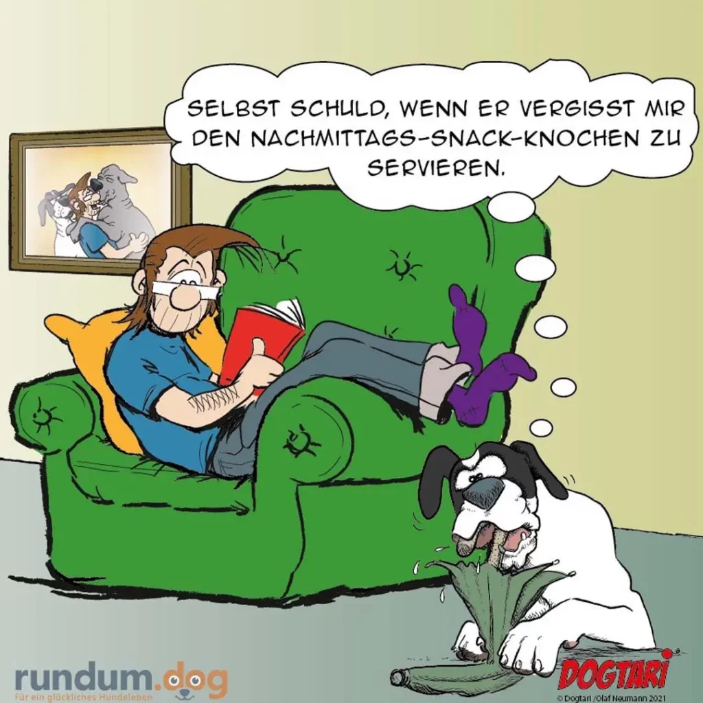 Mann sitzt auf grünem Sofa mit Buch, Hund unten knabbert an Pflanze, Mann sagt etwas zur Pflanze