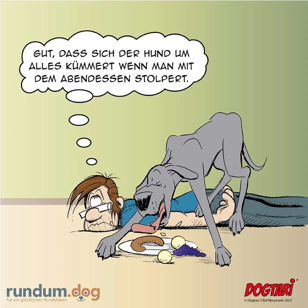 Hund steht über liegendem Halter, der am Boden sitzt. Hund denkt: «Gut, dass sich der Hund um alles kümmert wenn man mit dem Abendessen stolpert.»