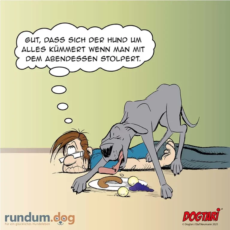 Hund steht über liegendem Halter, der am Boden sitzt. Hund denkt: «Gut, dass sich der Hund um alles kümmert wenn man mit dem Abendessen stolpert.»