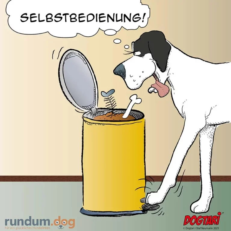 Schwarzweisser Hund bedient sich selbst aus einem gelben Futtereimer mit Schaufel und Knochenspielzeug, ruft 'Selbstbedienung!'