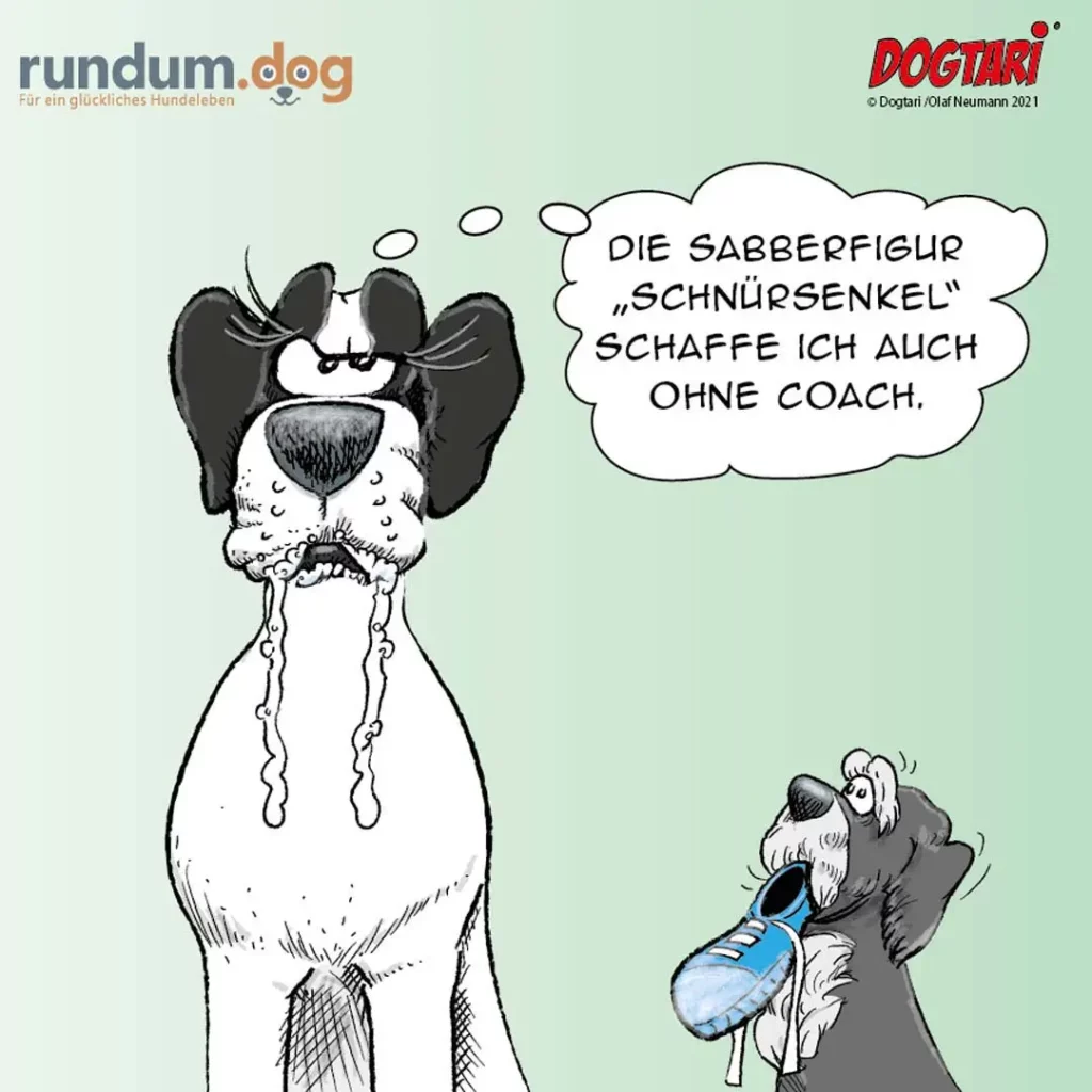 Grosser Hund mit langen Ohren und Schnurrbart blickt stolz auf kleine Frau, die einen blauen Schuh hält