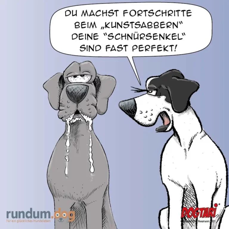 Zwei Hunde nach dem Duschen: grauer Hund mit triefender Schnauze und verschmitztem Blick, weisser Hund schaut begeistert zu