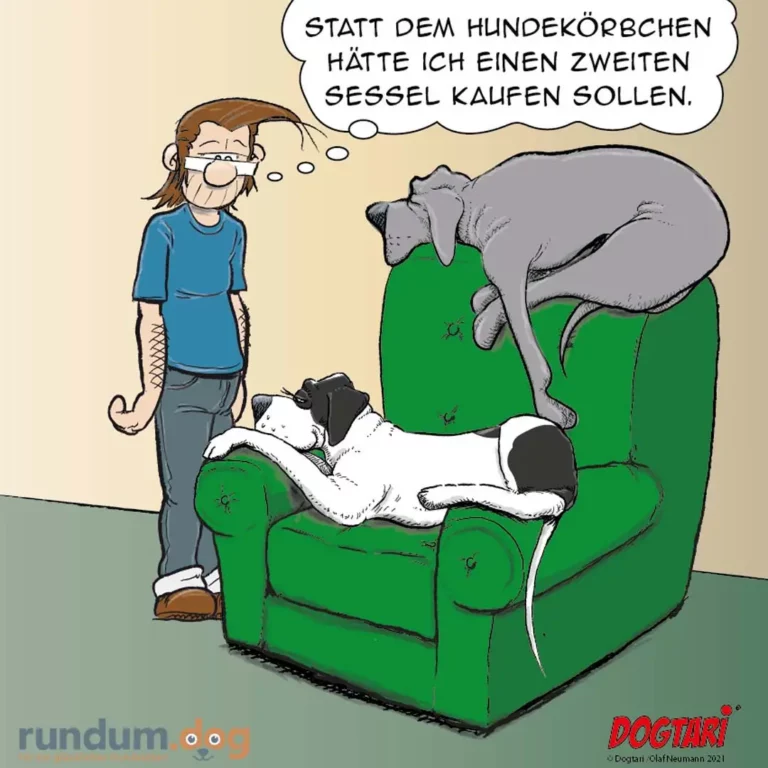 Halter sitzt neben grünem Sessel, auf dem zwei Hunde liegen – einer weiss-schwarz, einer grau. Halter denkt: Statt dem Hundekörbchen hätte ich einen zweiten Sessel kaufen sollen.