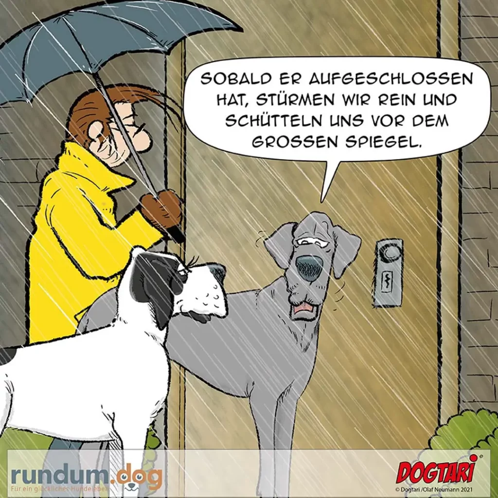 Person mit gelbem Regenmantel hält Schirm über nassem Hund, der mit verzweifeltem Gesichtsausdruck nach oben schaut