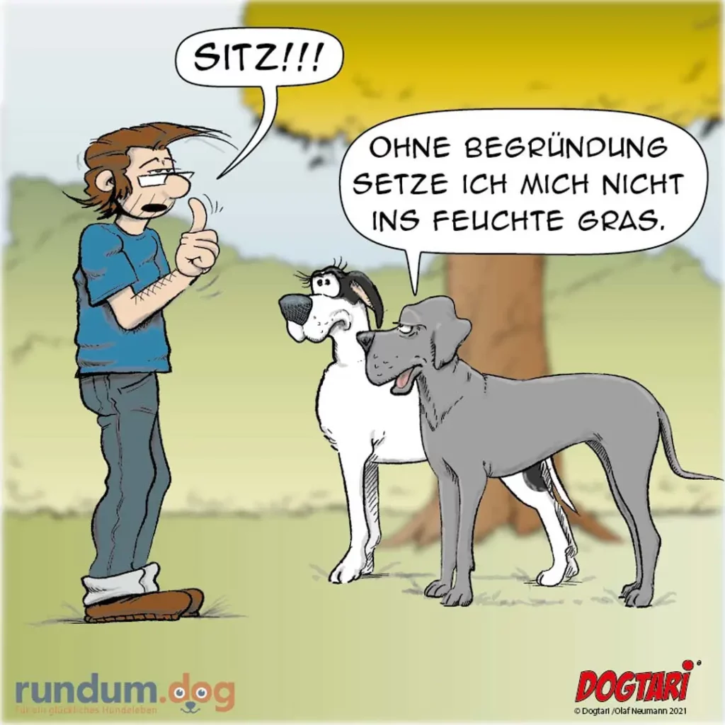 Hundehalter ruft «Sitz!!!» mit Daumen nach oben, zwei Hunde stehen nebeneinander, einer antwortet: «Ohne Begründung setze ich mich nicht ins feuchte Gras»