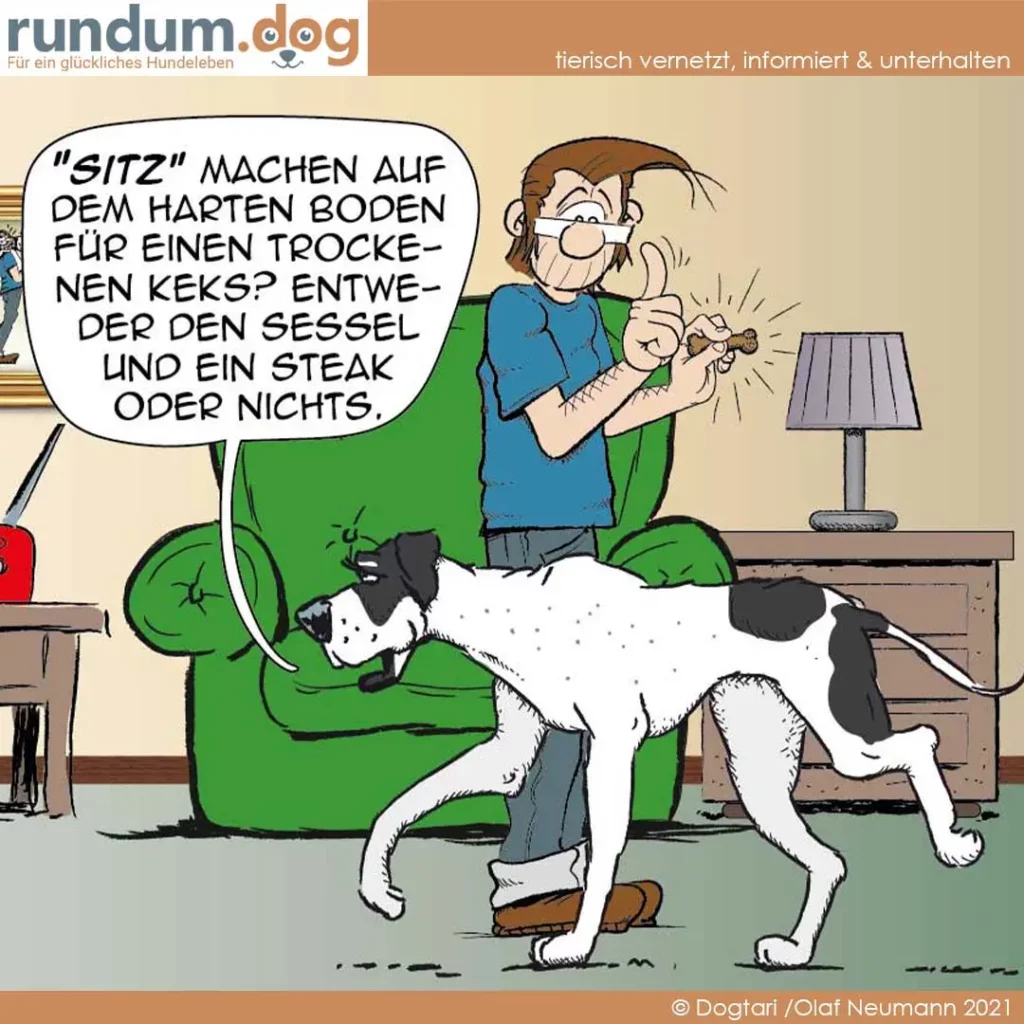Mann sitzt auf grünem Sofa, hält einen Knochen hoch und spricht mit Hund. Weiss-schwarzer Hund steht vor ihm und schaut nach oben.