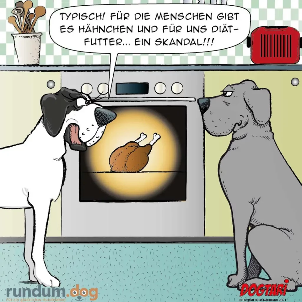 Zwei Hunde in der Küche: schwarzweisser Hund schaut in den offenen Ofen auf ein Hähnchen, grauer Hund steht daneben