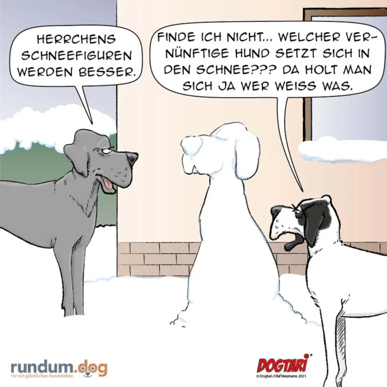 Drei Hunde im Schnee: grauer Hund links sagt «Herrchens Schneefiguren werden besser», weisser Hund in der Mitte, schwarzweisser Hund rechts antwortet «Welcher vernünftige Hund setzt sich in den Schnee»
