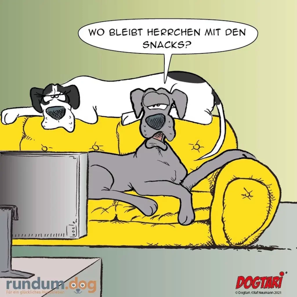 Drei Hunde sitzen auf gelbem Sofa vor Fernseher, einer fragt: «Wo bleibt Herrchen mit den Snacks?»