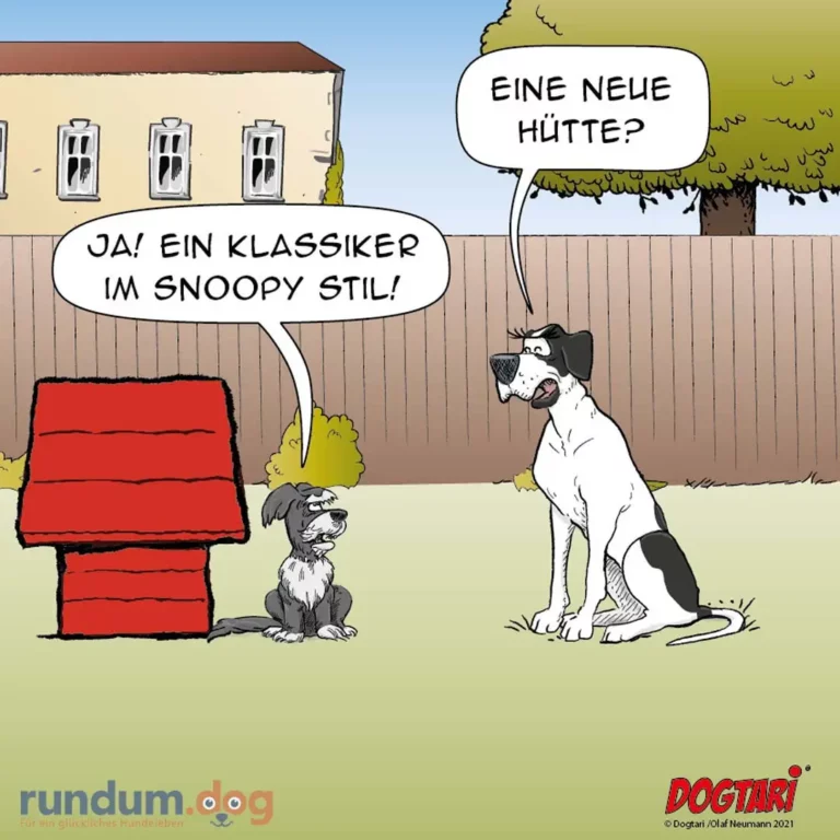 Zwei Hunde im Garten: schwarzweisser Hund sagt «Ja! Ein Klassiker im Snoopy Stil!», grauer Hund vor roter Hundehütte fragt «Eine neue Hütte?»