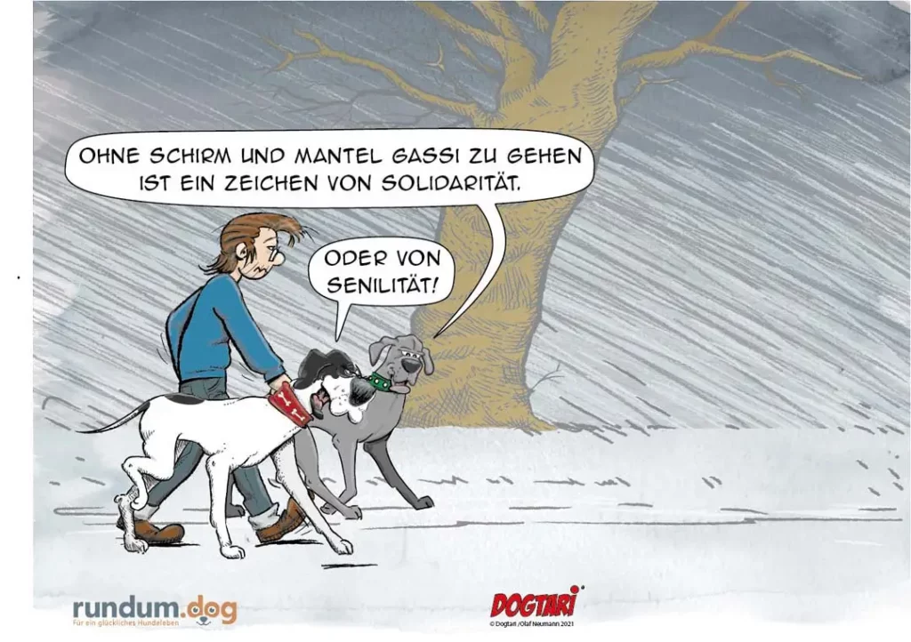 Halter geht mit zwei Hunden spazieren, einer fragt den anderen: Solidarität oder Senilität?