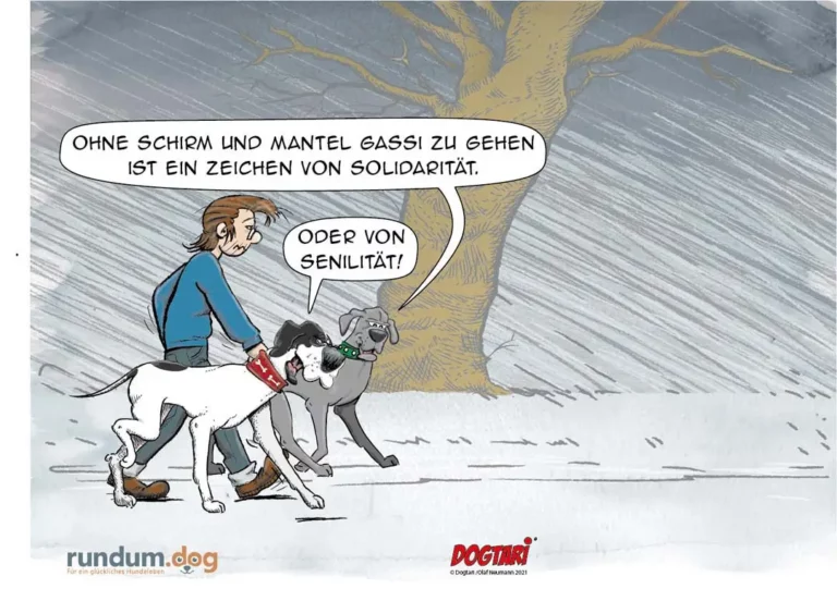 Halter geht mit zwei Hunden spazieren, einer fragt den anderen: Solidarität oder Senilität?