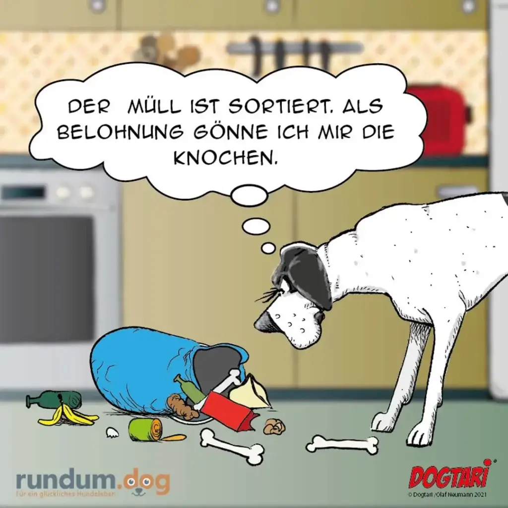 Weisser Hund beugt sich über umgestürzte Mülltonne mit verstreutem Inhalt, denkt: Der Müll ist sortiert. Als Belohnung gönne ich mir die Knochen.