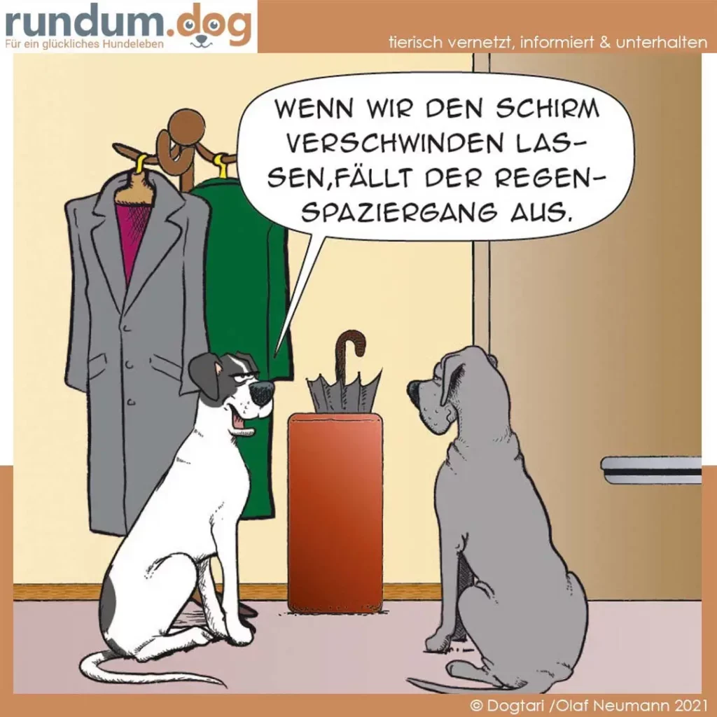 Zwei Hunde sitzen sich gegenüber, einer weiss-braun, einer grau. Ein Mensch in grauem Anzug steht dahinter und erklärt etwas, daneben ein roter Topf mit Regenschirm.